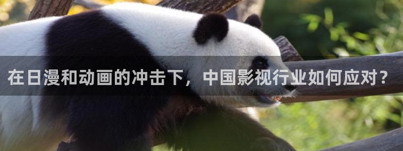 3d动漫天堂网