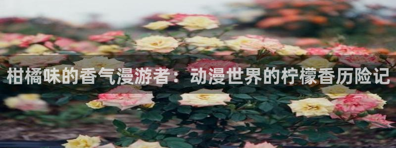 动漫天堂：柑橘味的香气漫游者：动漫世界的柠檬香历险记